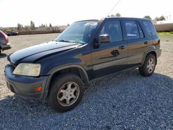 Salvage cars for sale at Mentone, CA auction: 1999 Honda CR-V LX
