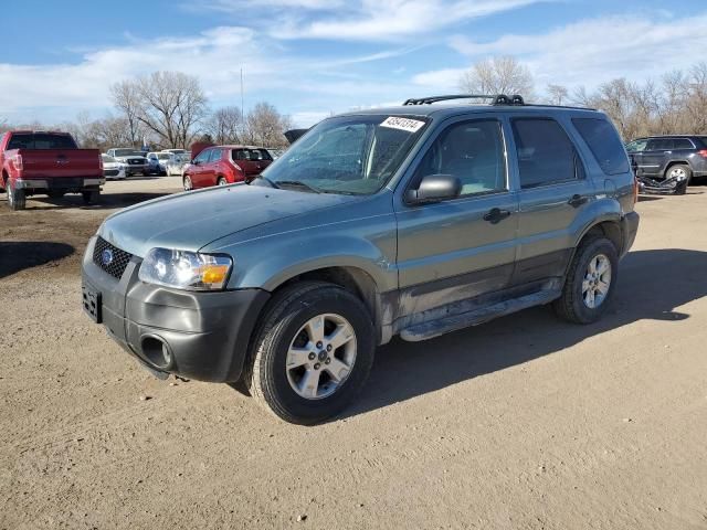 2006 Ford Escape XLT