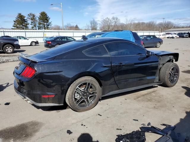 2023 Ford Mustang GT