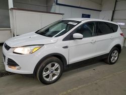 Salvage cars for sale from Copart Pasco, WA: 2013 Ford Escape SE