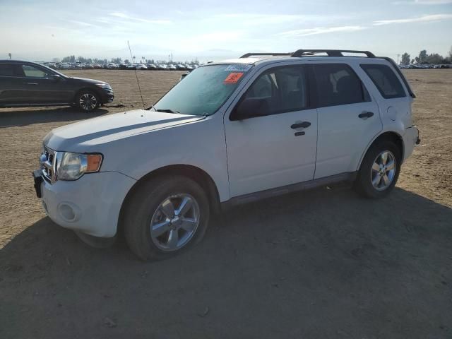 2011 Ford Escape XLT