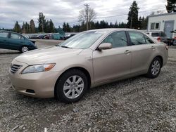 Toyota salvage cars for sale: 2007 Toyota Camry Hybrid