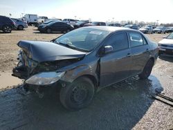 Toyota salvage cars for sale: 2010 Toyota Corolla Base