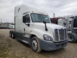 Salvage trucks for sale at Lexington, KY auction: 2017 Freightliner Cascadia 125
