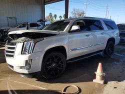 Cadillac salvage cars for sale: 2020 Cadillac Escalade ESV Luxury