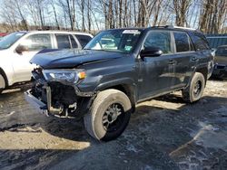 Salvage cars for sale at Candia, NH auction: 2019 Toyota 4runner SR5