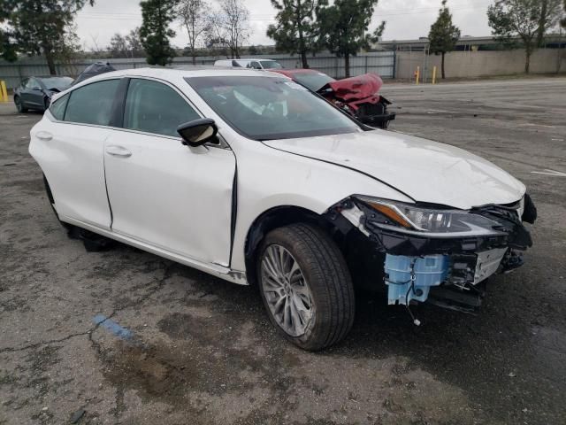 2021 Lexus ES 350 Base