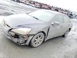 Honda Accord LX Vehiculos salvage en venta: 2004 Honda Accord LX