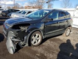 Vehiculos salvage en venta de Copart New Britain, CT: 2014 Ford Escape SE