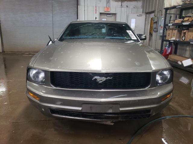 2005 Ford Mustang