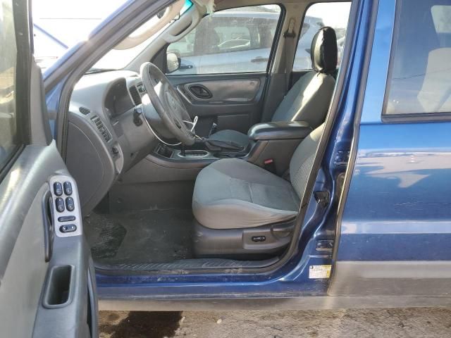 2007 Ford Escape XLT