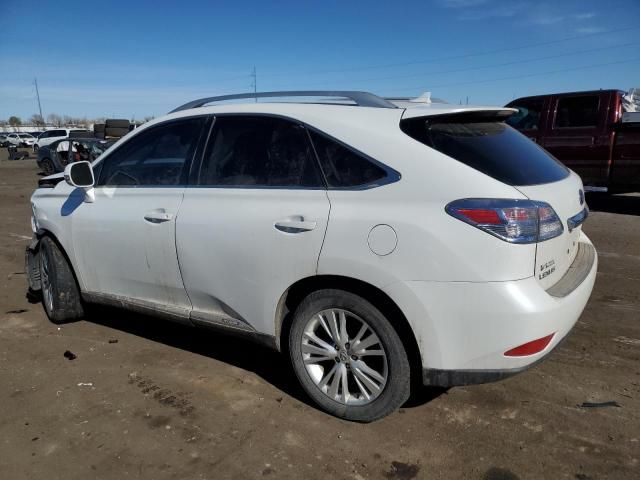 2010 Lexus RX 450