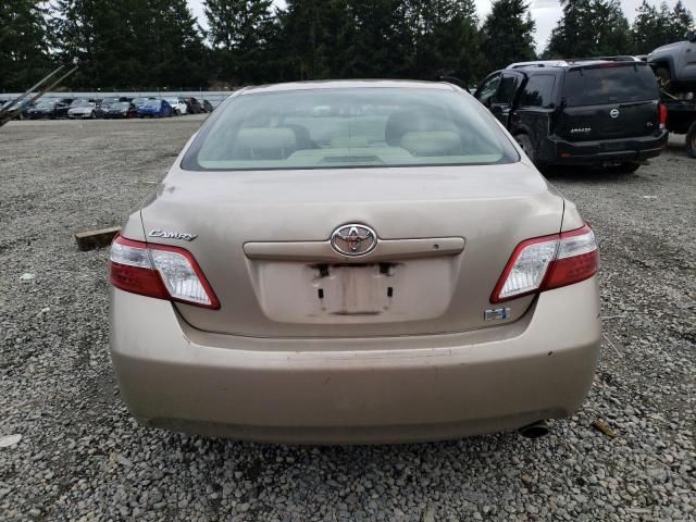 2007 Toyota Camry Hybrid