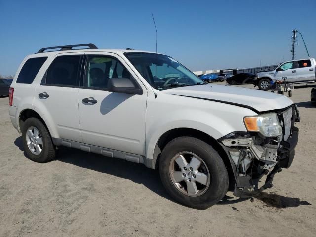 2009 Ford Escape XLT