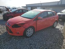 2012 Ford Focus SE for sale in Wayland, MI