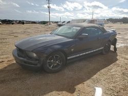 Salvage cars for sale at Theodore, AL auction: 2009 Ford Mustang