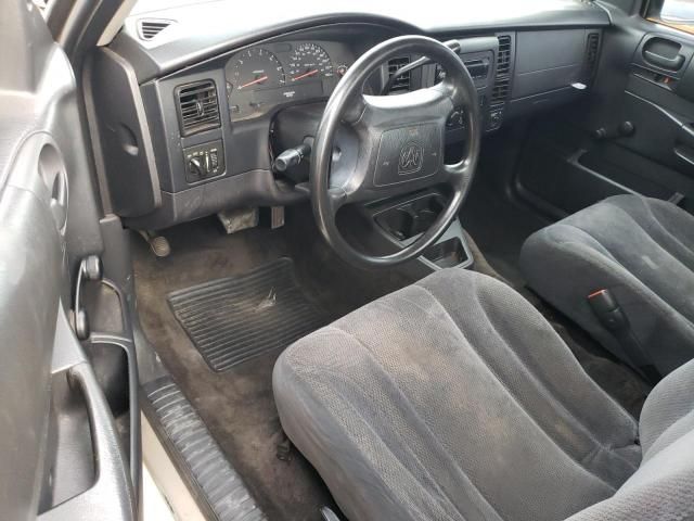 2004 Dodge Dakota SXT