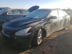 Salvage cars for sale at Elgin, IL auction: 2010 Nissan Maxima S