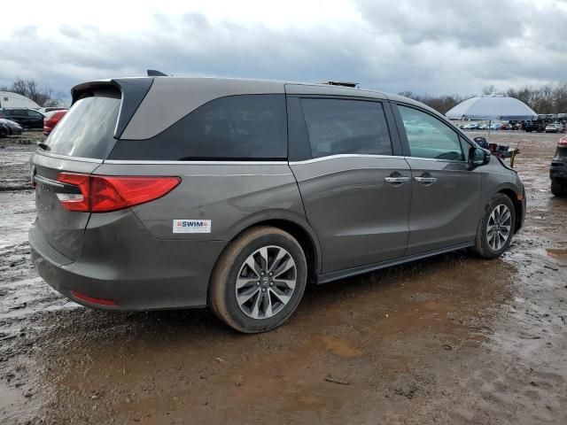 2022 Honda Odyssey EXL