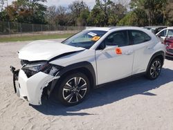 Salvage cars for sale from Copart Fort Pierce, FL: 2020 Lexus UX 250H
