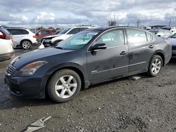 Salvage cars for sale at Eugene, OR auction: 2009 Nissan Altima Hybrid