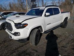 Salvage SUVs for sale at auction: 2021 Toyota Tacoma Double Cab