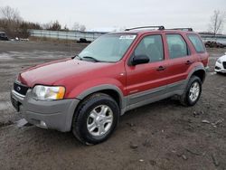 Ford Escape xlt Vehiculos salvage en venta: 2001 Ford Escape XLT