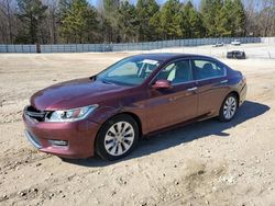 Honda Accord EXL salvage cars for sale: 2014 Honda Accord EXL