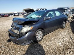 Toyota Corolla salvage cars for sale: 2010 Toyota Corolla Base