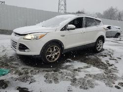 Ford Escape Titanium salvage cars for sale: 2013 Ford Escape Titanium