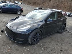 Salvage cars for sale at Marlboro, NY auction: 2023 Tesla Model Y