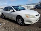 2003 Honda Accord EX