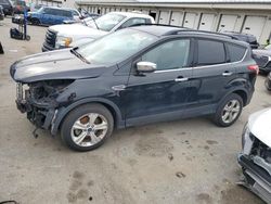 Salvage cars for sale at Louisville, KY auction: 2016 Ford Escape SE