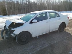 Salvage cars for sale from Copart Bowmanville, ON: 2010 Toyota Corolla Base