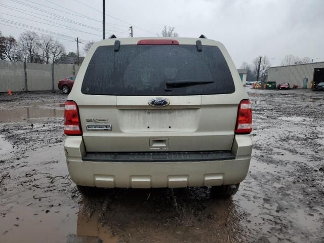 2010 Ford Escape XLT