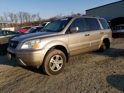 Honda salvage cars for sale: 2005 Honda Pilot EX