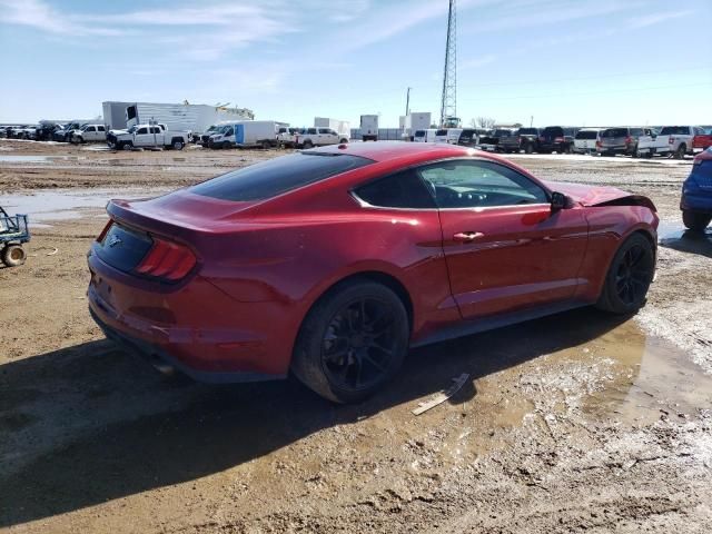 2019 Ford Mustang