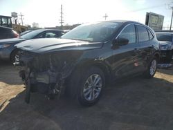 Salvage cars for sale from Copart Chicago Heights, IL: 2022 Ford Escape SE