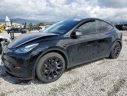 2021 Tesla Model Y for sale in Mentone, CA