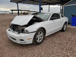 Salvage cars for sale at Phoenix, AZ auction: 2014 Ford Mustang