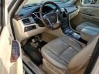 2007 Cadillac Escalade Luxury