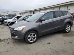 Ford Escape se Vehiculos salvage en venta: 2014 Ford Escape SE