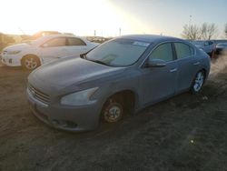 Salvage cars for sale at Greenwood, NE auction: 2009 Nissan Maxima S