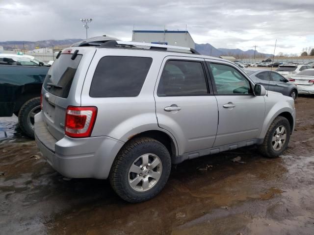 2011 Ford Escape Limited