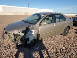 Salvage cars for sale from Copart Phoenix, AZ: 2008 Toyota Corolla CE