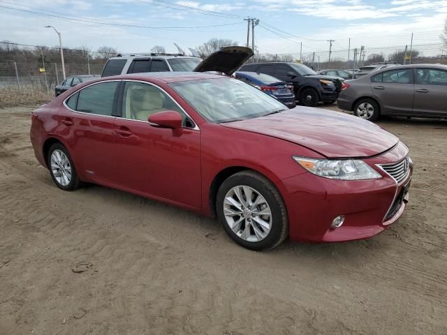 2014 Lexus ES 300H