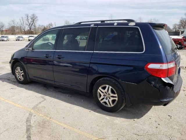 2005 Honda Odyssey EXL