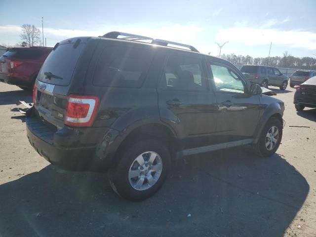 2010 Ford Escape Limited