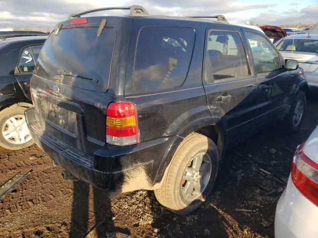 2004 Ford Escape Limited