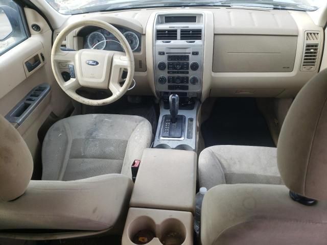 2008 Ford Escape XLT